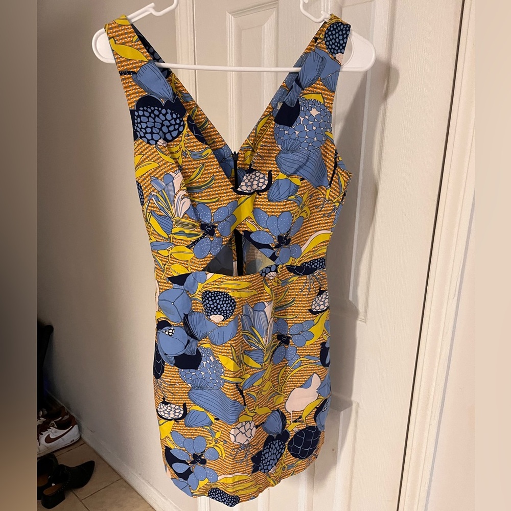 ZARA Trafaluc Dress with Cutouts (size S)